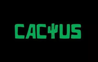 Cactus Casino